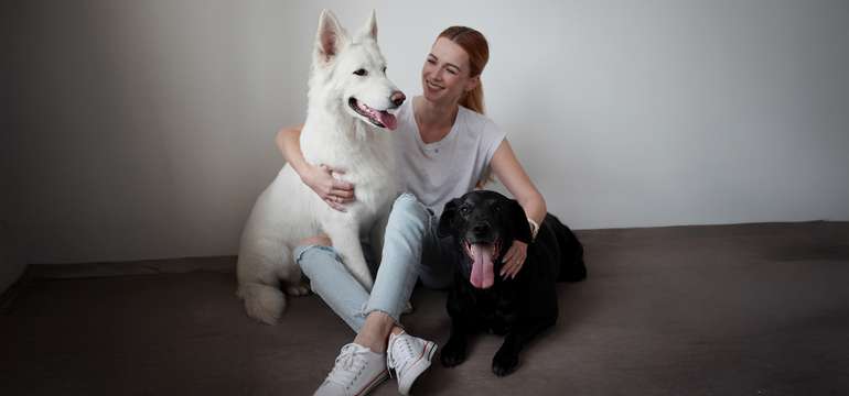 Kompletná úprava psa v Pet salóne HaFun