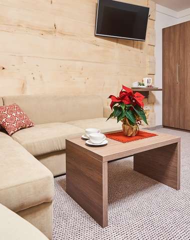 Izba Deluxe v penzióne Tatrzanski Bór v Poľsku má rozlohu 17 m2 a kapacitu 2 + 1 osoba