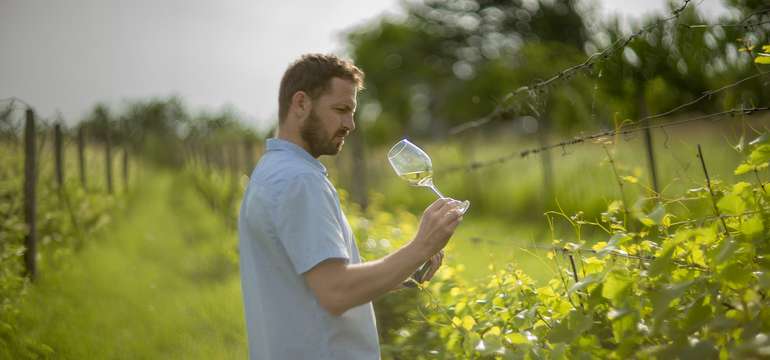Darčekový poukaz na ochutnávku vín Hrčka&Benian Winery so súkromným degustovaním