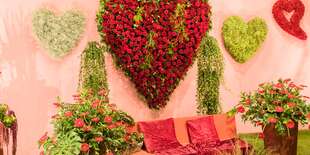 Medzinárodná výstava kvetov a záhrad v Tulln (v termíne 31.8.2019 sobota)