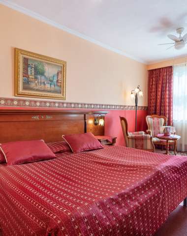 De-luxe izba s originálnymi obrazmi a elegantnými doplnkami (za príplatok)