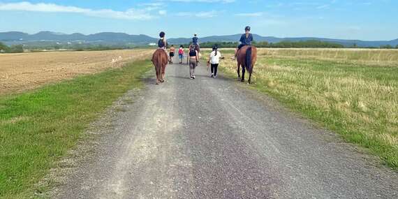 Prechádzky na koni, tréning jazdenia aj kúžok pre deti/Šenkvice