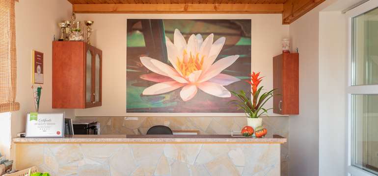 Recepcia vo wellness penzióne Andrea*** v Cserszegtomaji