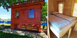 Kráľovstvo včiel Med Knížat - pobyt v apidomčeku