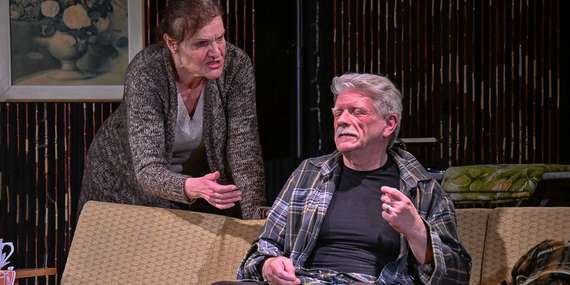 Vstupenka na drsnú komédiu Detektor lži v SUD - Slovenskom umeleckom dvore v Petržalke/Bratislava - Petržalka