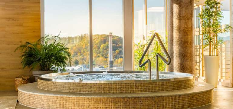 Wellness zahŕňa vnútorný bazén, fínsku saunu a dve parné sauny