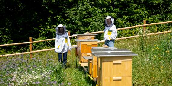 Apiatti Bee Farm v srdci Gemera - jedinečný glamping nad včelími úľmi/Betliar