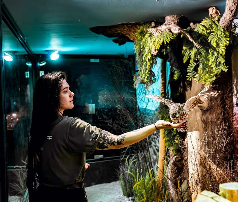 Výlet do ZOO Budapešť a Tropicaria s cestovnou kanceláriou Travelholic