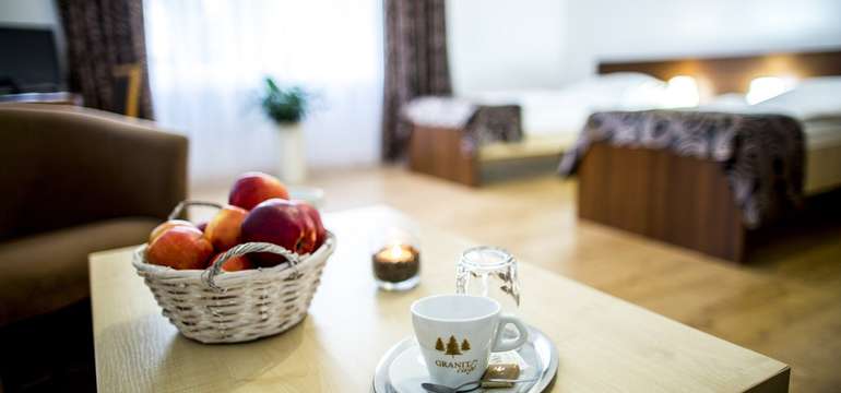Hotel Granit Piešťany - kúpeľný ústav F. E. Scherera - izba