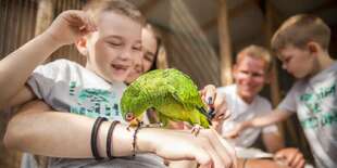 ZOOKONTAKT family park