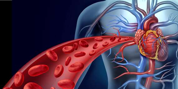 Vyšetrenie a liečba cievneho systému pomocou Sonotherapie a teraz aj liečba fotomodulačnými LED panelmi/Bratislava - Ružinov