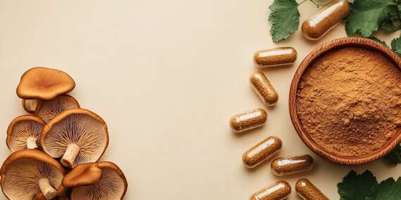 Reishi huba na posilnenie imunity a srdca vo forme prášku alebo tabliet/Slovensko