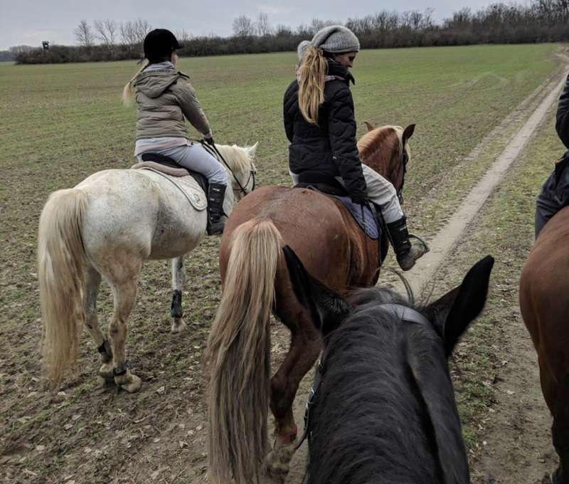 Detský tábor s jazdou na koni na Ranči Lieskovec