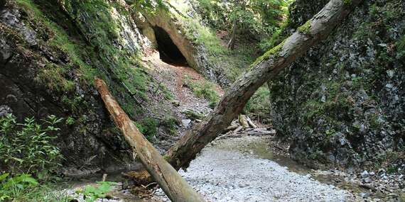 Skupinový ferratový kurz v teréne v lokalite Kyseľ v Slovenskom raji s certifikovaným horským sprievodcom/Slovenský raj - Kyseľ