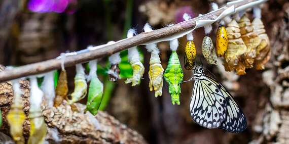 House of Attractions plný úžasných atrakcií v centre Krakove/Poľsko - Krakov