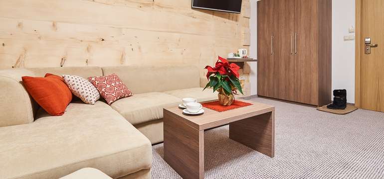 Izba Deluxe v penzióne Tatrzanski Bór v Poľsku má rozlohu 17 m2 a kapacitu 2 + 1 osoba