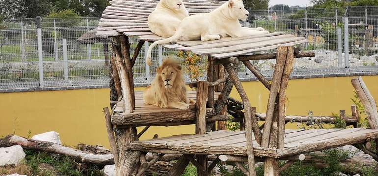 Jedinečný "Safari výlet" na Slovensku v Malkia parku