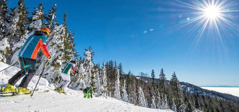 Poblíž jsou hned tři ski areály - Lipno, Sternstein a Hochficht