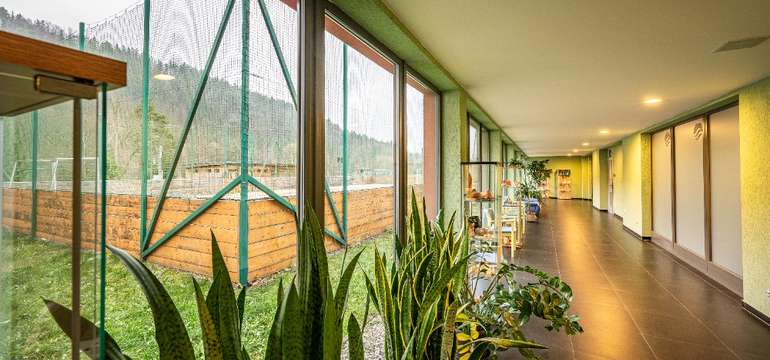 Hotel Sport Art Centrum ponúka rôzne varianty aktívneho vyžitia