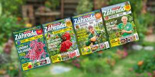 Ročné predplatné inšpiratívneho časopisu Záhrada