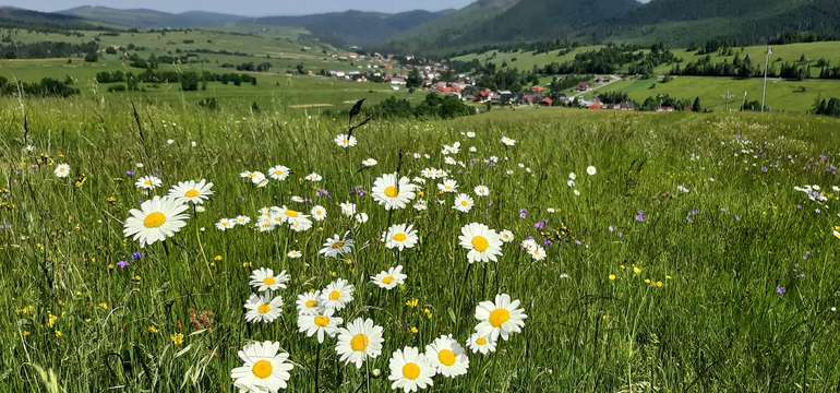 Penzión Slovakia v goralskej obci Ždiar