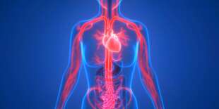 Vyšetrenie a liečba ciev Sonotherapiou + fotomodulačnými LED panelmi