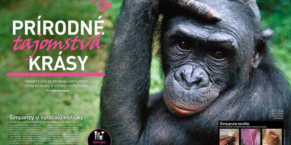 Ročné predplatné - 4 vydania časopisu Svet zvierat/Slovensko