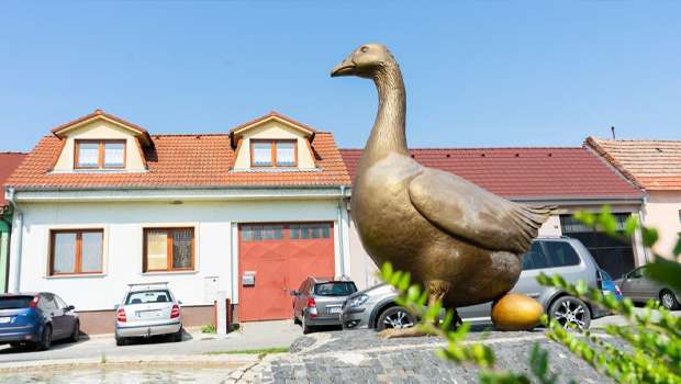 slovensky grob husacie a kacacie hody