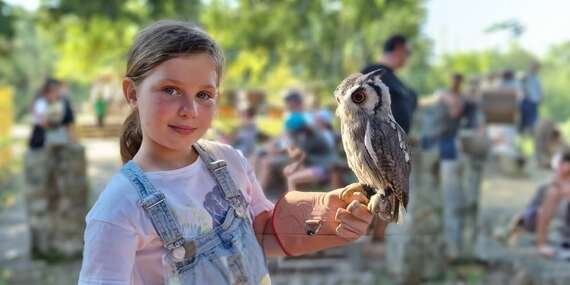 Vstupy do Sokoliarne a minizoo Devín pre deti, dospelých aj rodiny/Bratislava - Devín