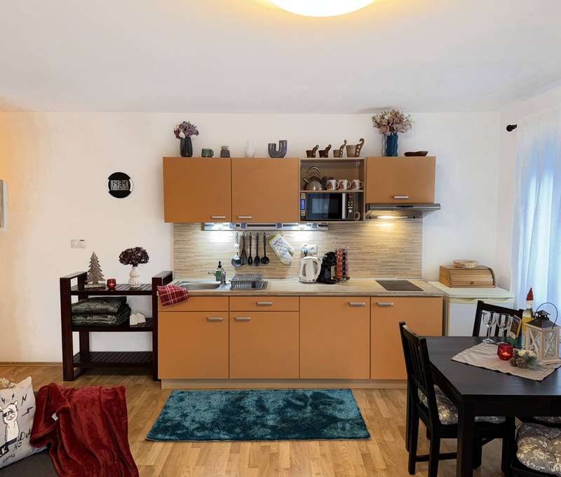 Súčasťou apartmánu je aj plne vybavená kuchyňa