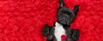 Najsladší blog, aký ste kedy čítali