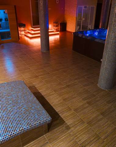 Wellness je vybavené vírivkou a troma saunami: fínskou, infračervenou, parnou saunou a odpočívarňou