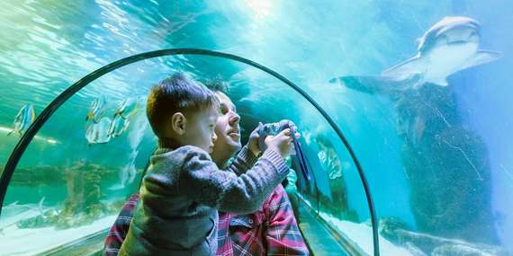 Budapešť nielen pre deti: Citadela, ZOO, Tropicarium a aquapark Aquaworld s CK Travelholic/Maďarsko - Budapešť