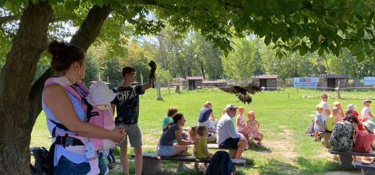 Sokoliareň a minizoo Devín