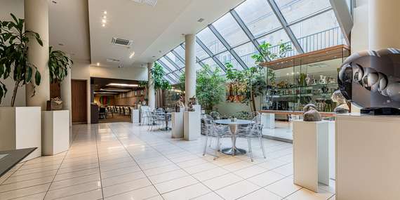 Historický hotel Zlatý Dukát**** v centre Košíc s raňajkami/Košice - Staré Mesto