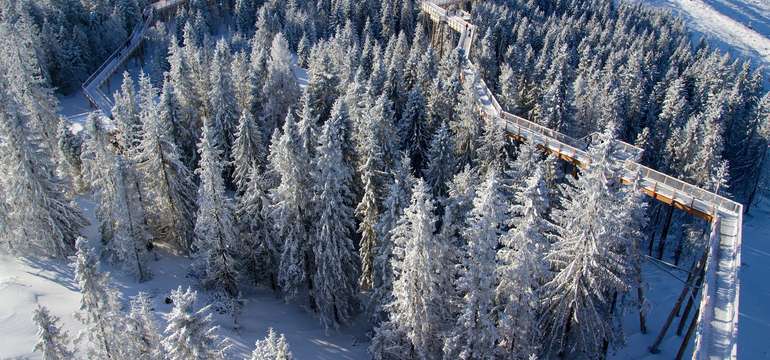Len 8 minút autom od BACHLEDKA Ski & Sun