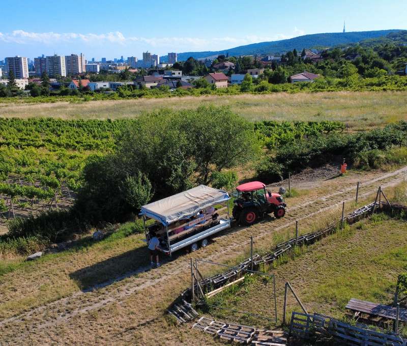 Vínovlečka - zážitková jazda vo vinohradoch s degustáciou vín
