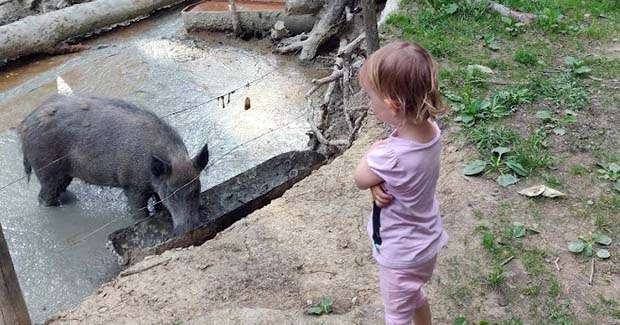 Nedaleko hotela Boboty