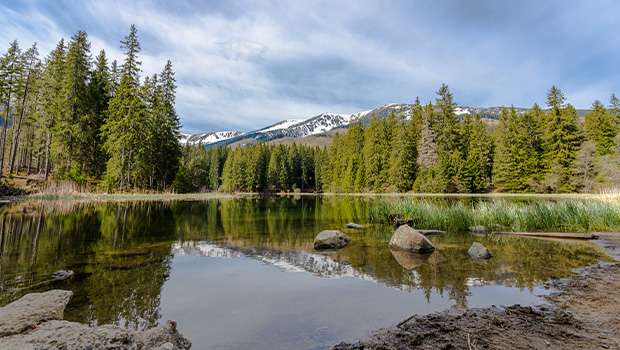 Vrbické pleso