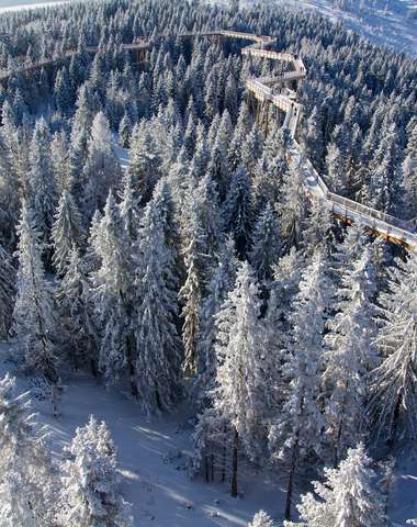 Len 8 minút autom od BACHLEDKA Ski & Sun