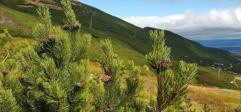 Poľské Tatry lákajú na turistiku, vyberať si môžete z množstva trás