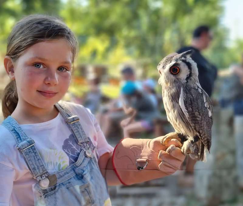 Sokoliareň a minizoo Devín