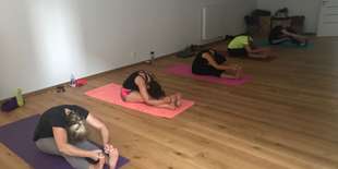 Kurz Jogy pre začiatočníkov 