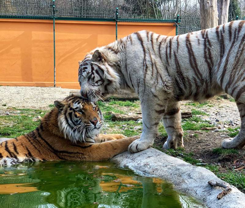 ZOOKONTAKT family park je výlet na celý deň a zážitok na celý život