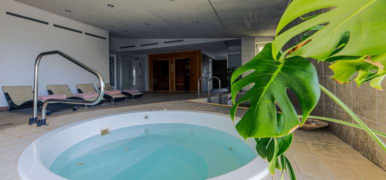 Neobmedzený vstup do hotelovej wellness zóny 