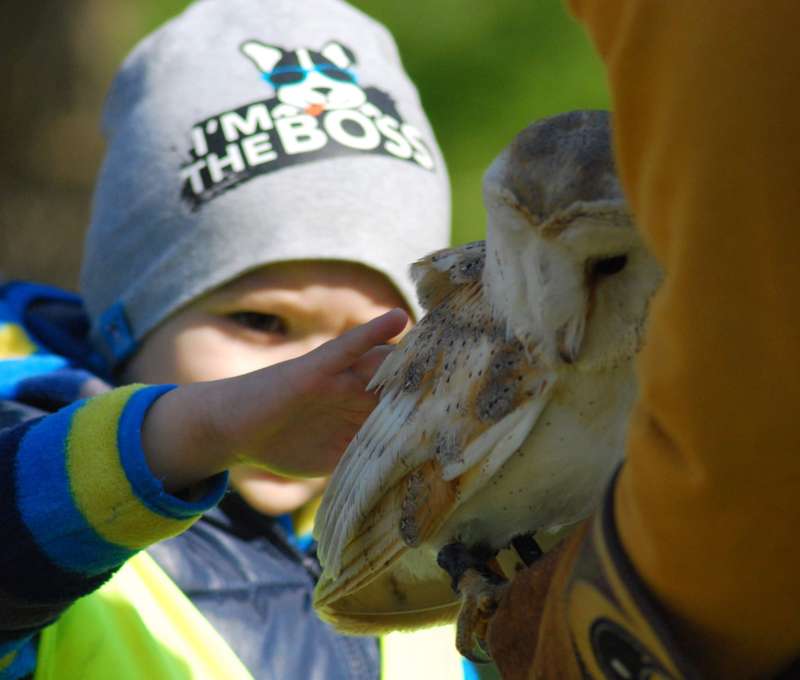 Sokoliareň a minizoo Devín
