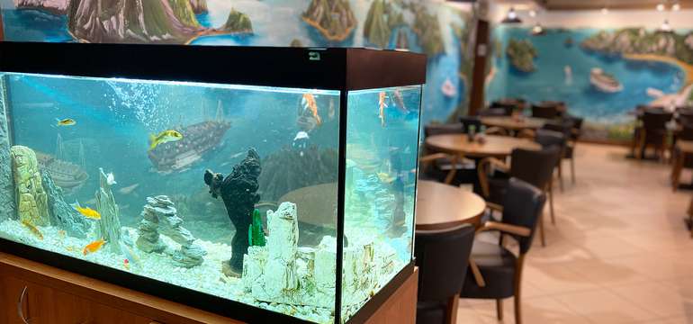 Vietnamské tradičné jedlá a degustačné menu v Gao Restaurant & Sushi bar
