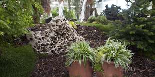 Vstupenka na výstavu Flóra Bratislava 2022 | Jarné trhy