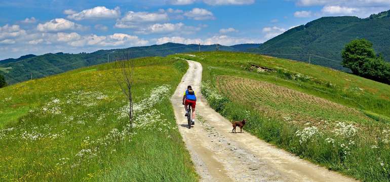 Okolie môžete spoznávať na bicykli aj pomocou nordic walking palíc